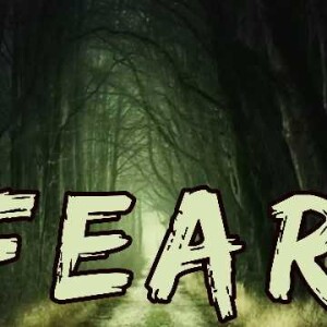 FEAR: what are you afraid of ?