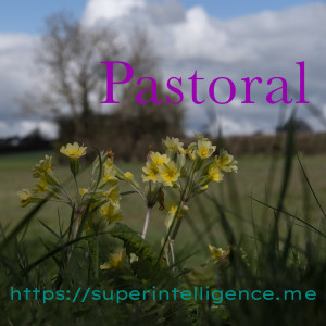 Pastoral