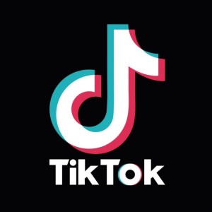 A Little Bit From Libs of TikTok