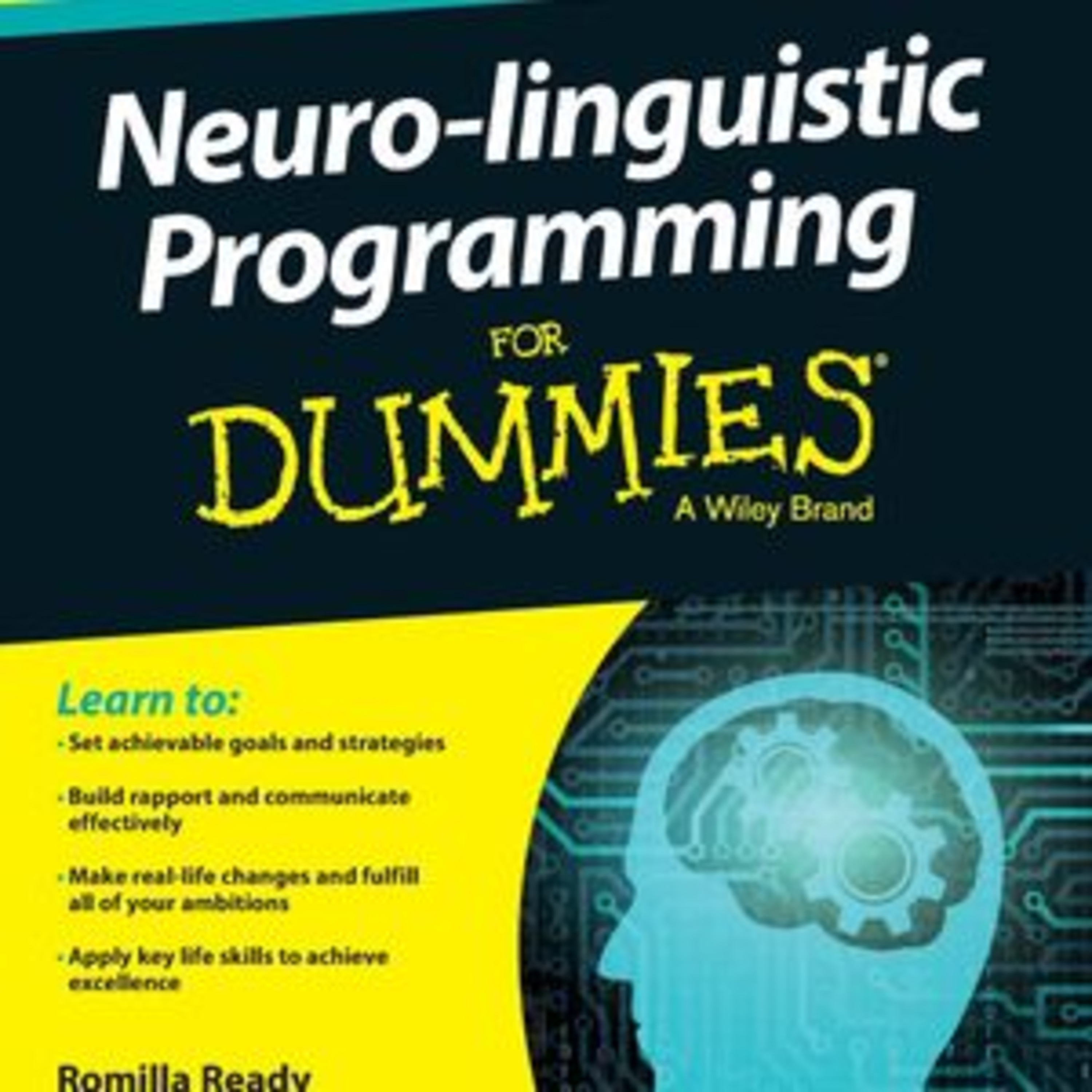 Neuro-linguistic Programming for Dummies Book Summary