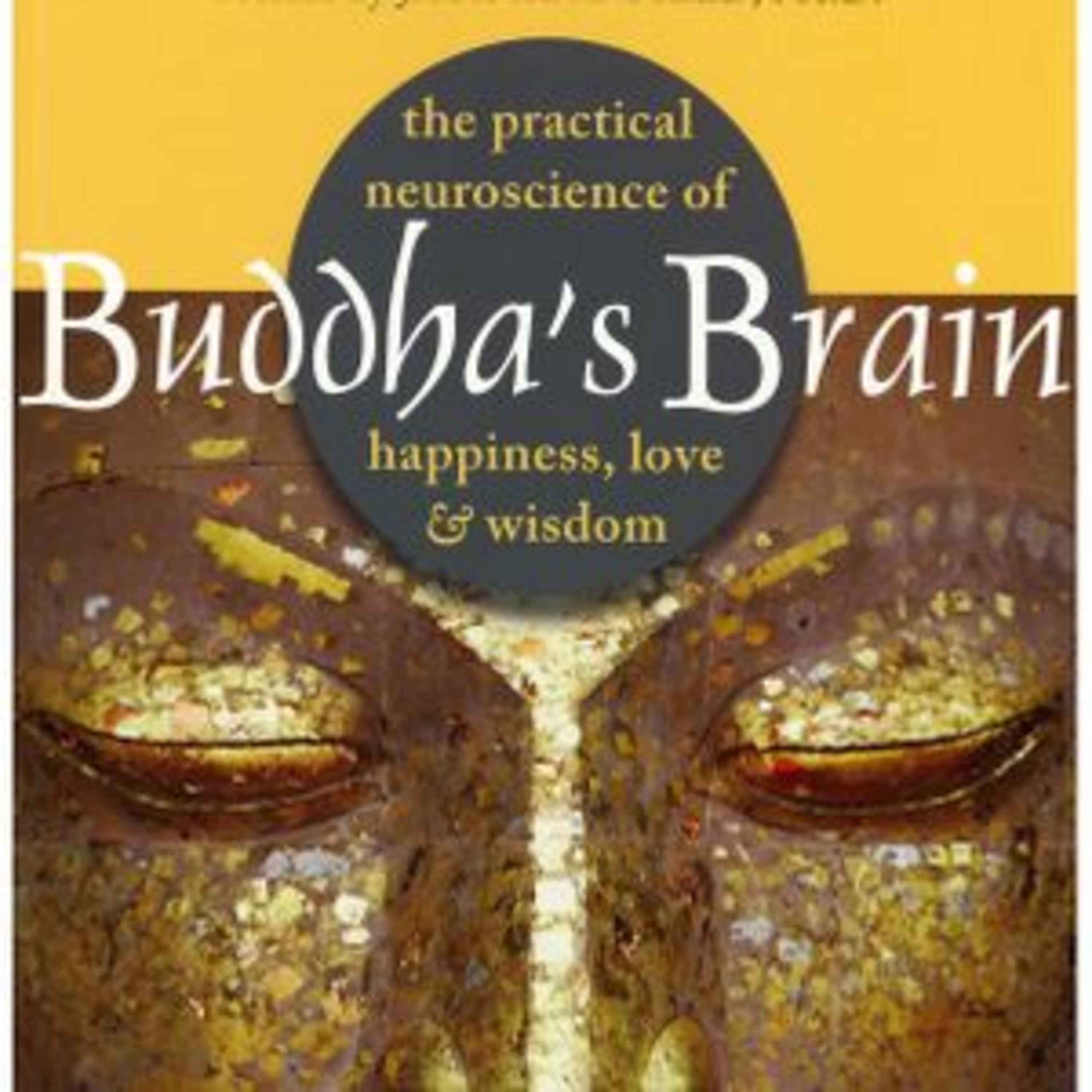 Rick Hanson Buddha's Brain Book Summary