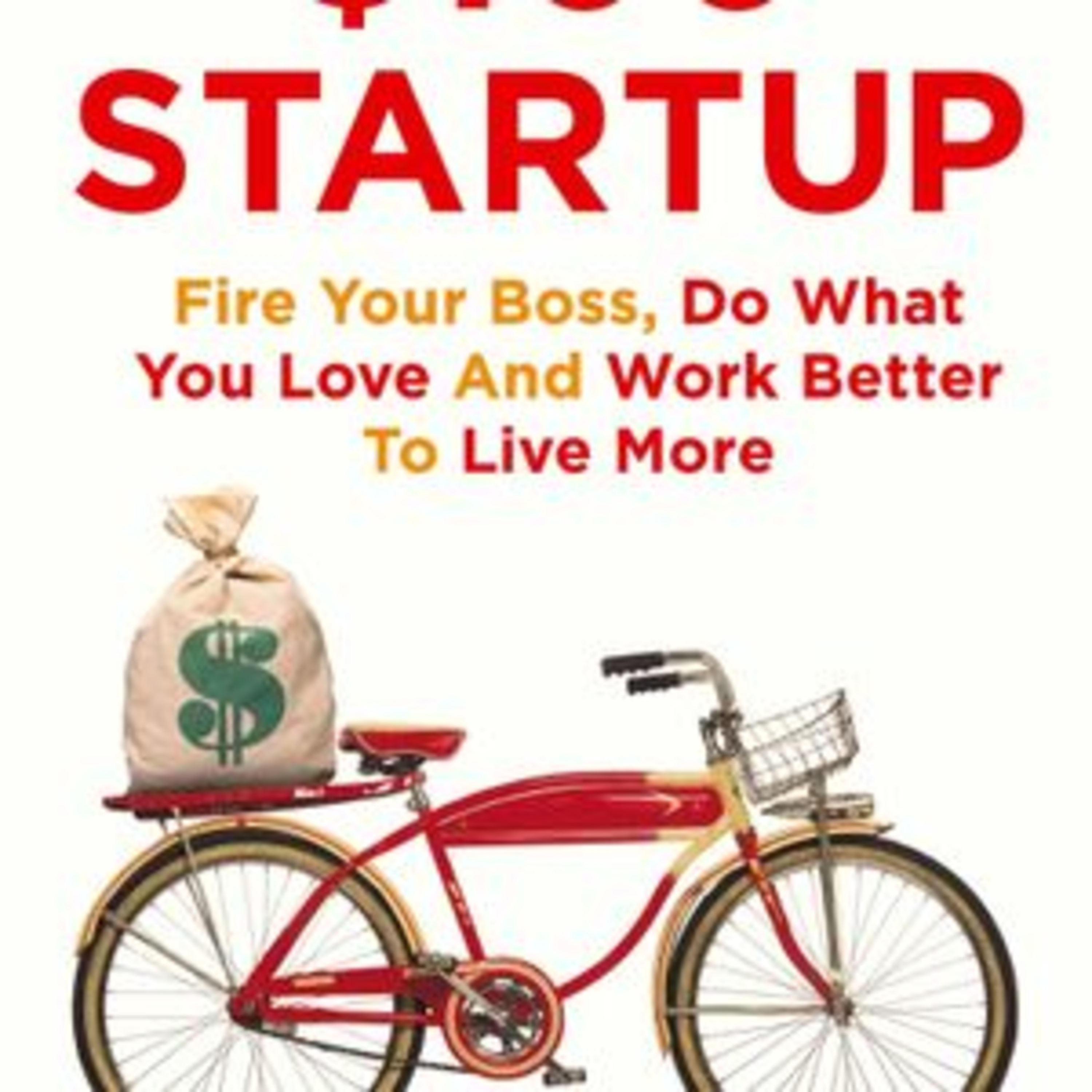 The $100 Startup by Chris Guillebeau