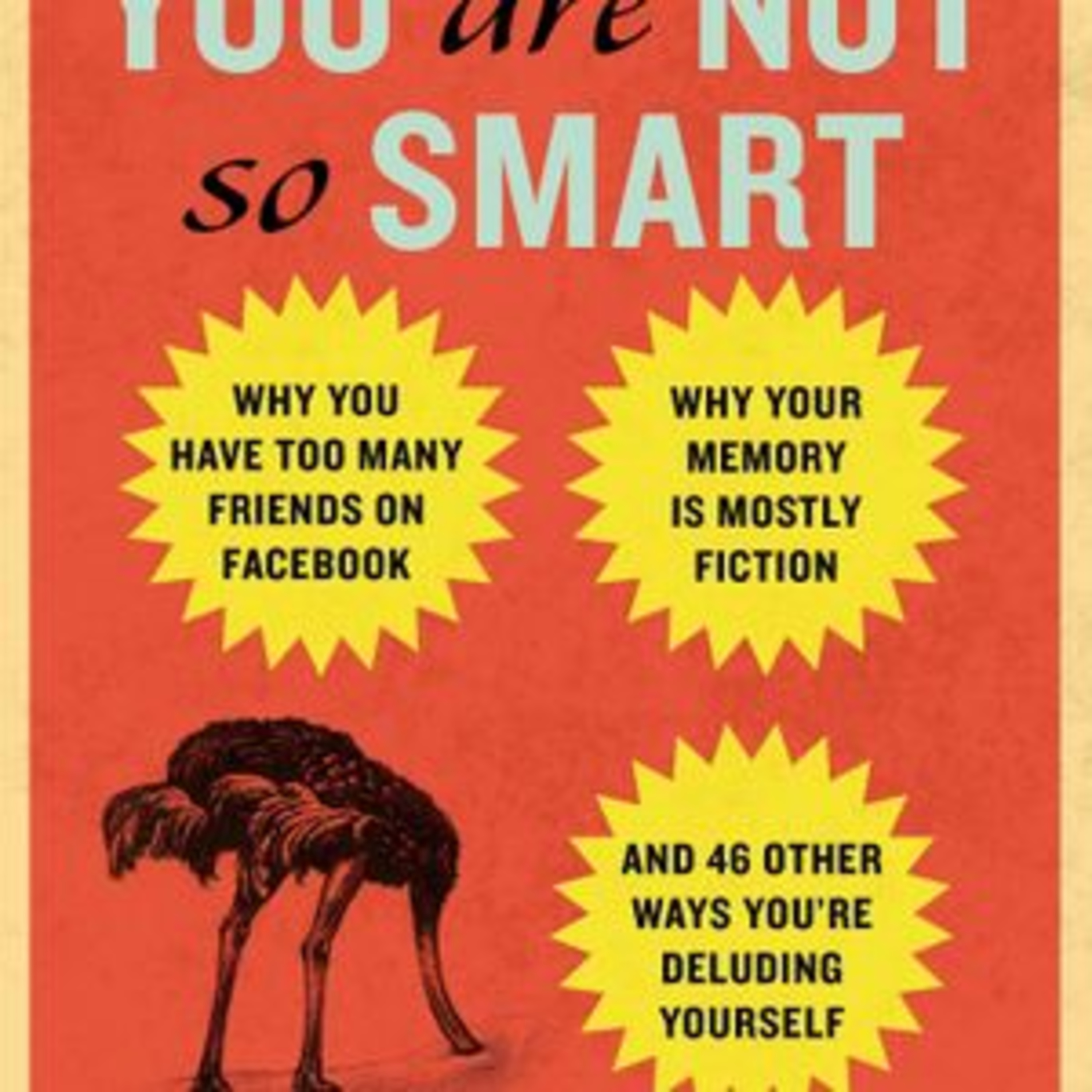 You Are Not So Smart by David McRaney