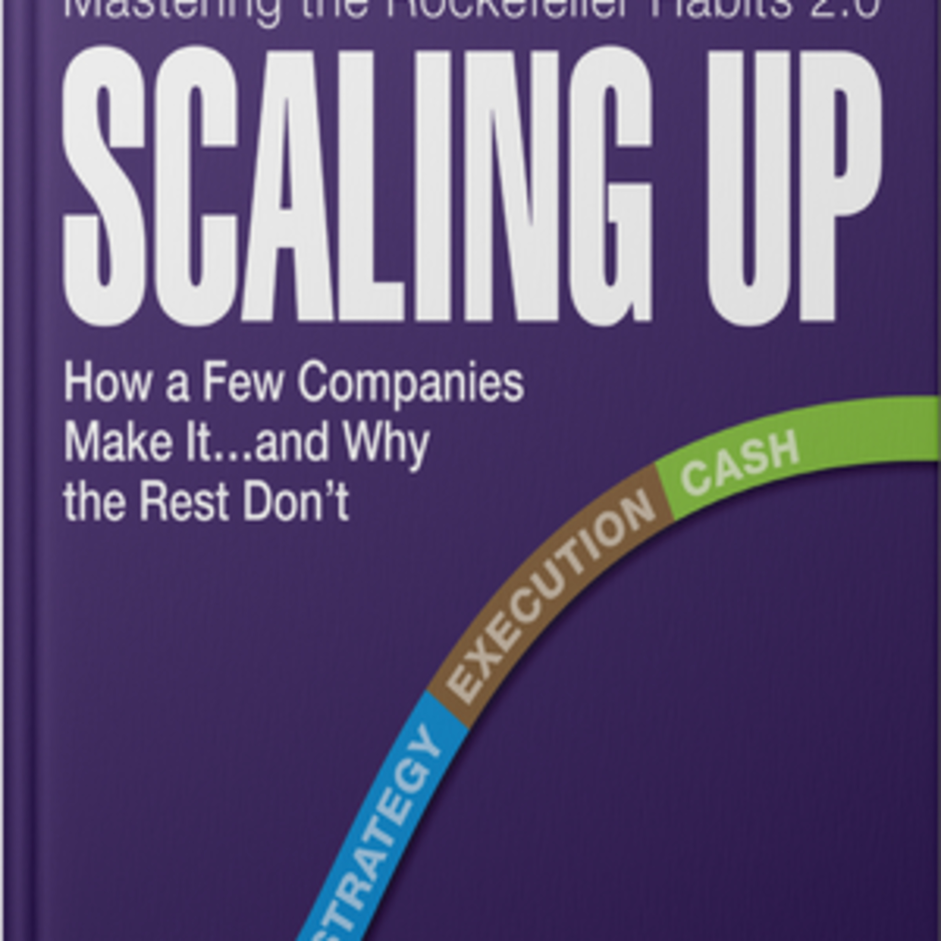 Verne Harnish Scaling Up How a Few Companies Make It... and Why the Rest Don't Book Summary