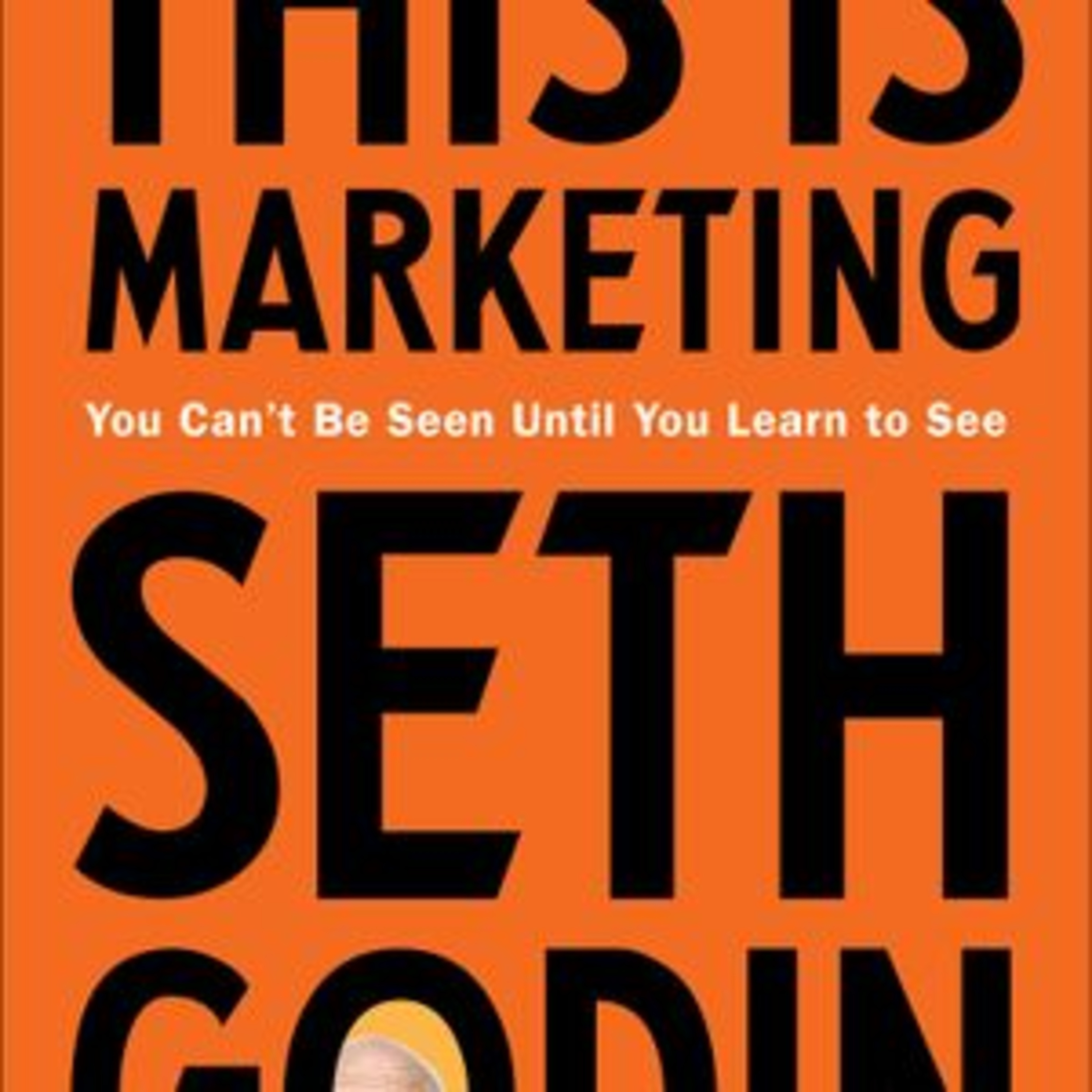 Seth Godin This is Marketing You Can’t Be Seen Until You Learn To See Book Summary