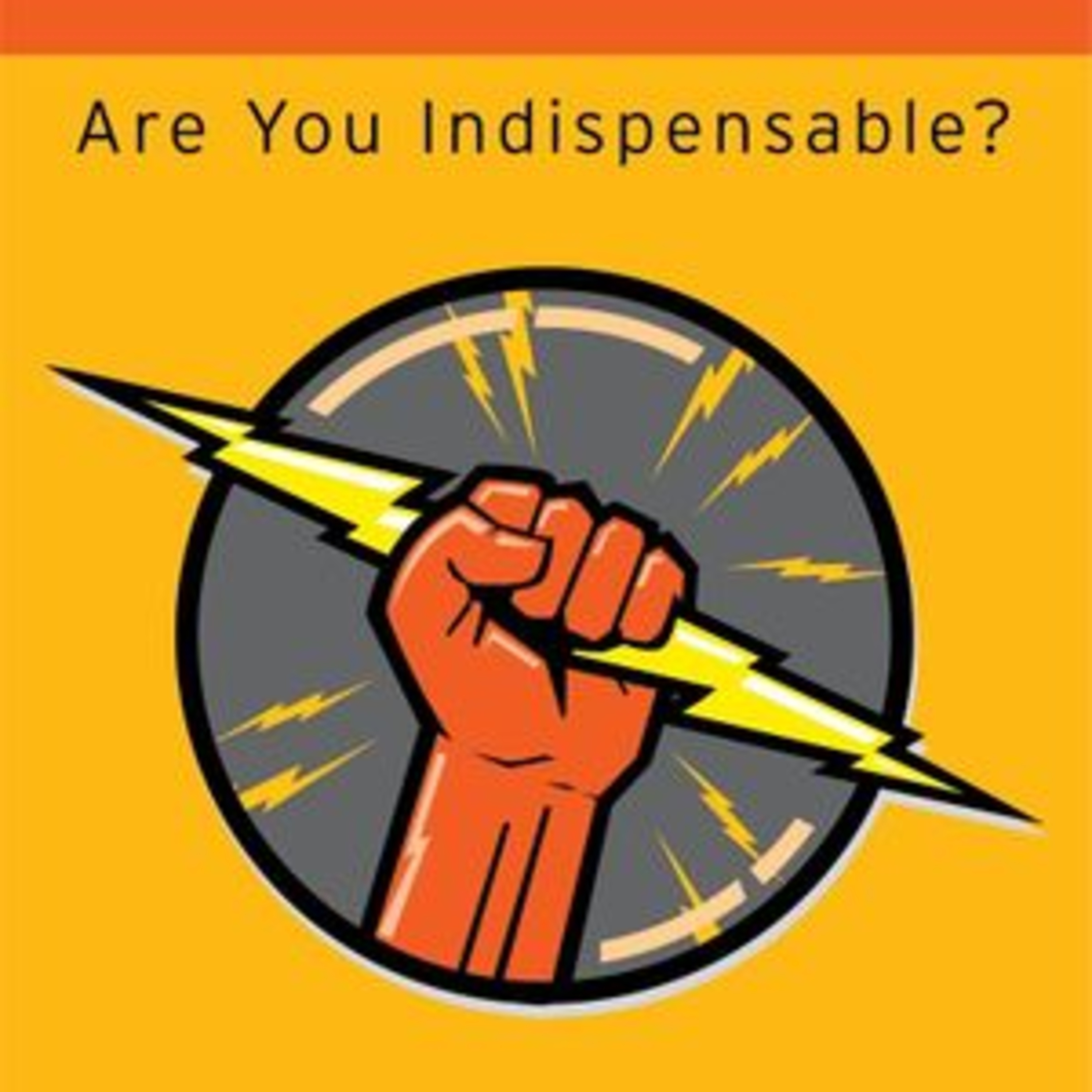 Linchpin Are You Indispensable? Book by Seth Godin