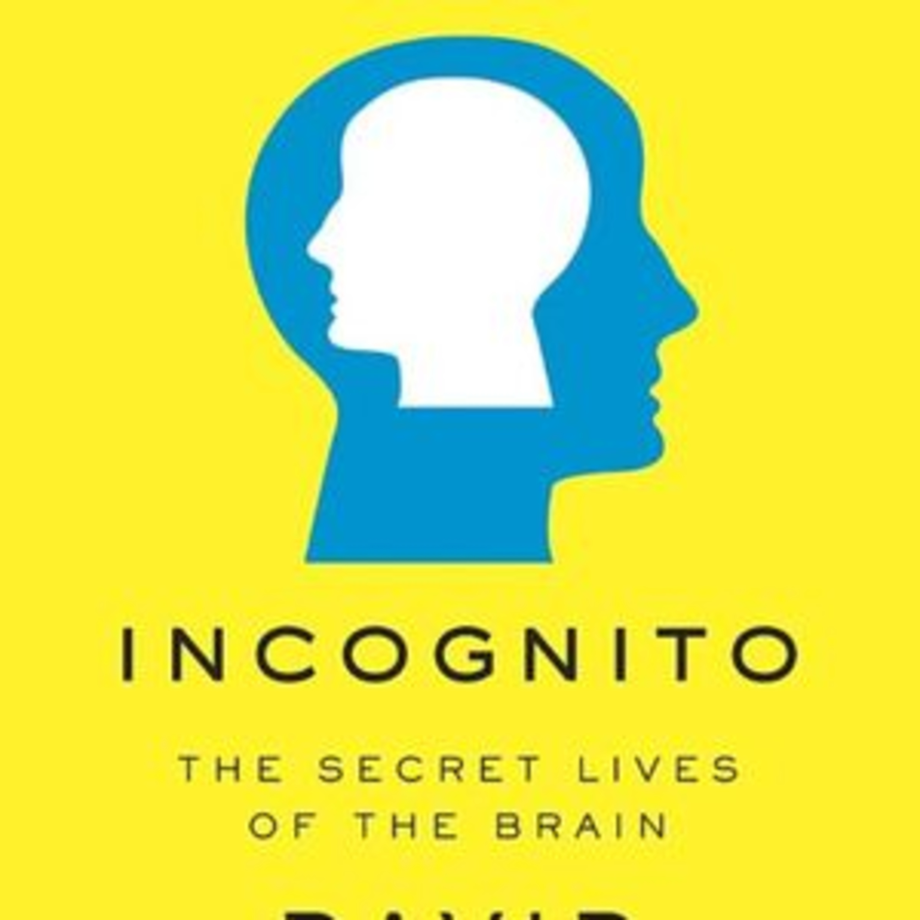 David Eagleman: Incognito: The Secret Lives of the Brain Book Summary