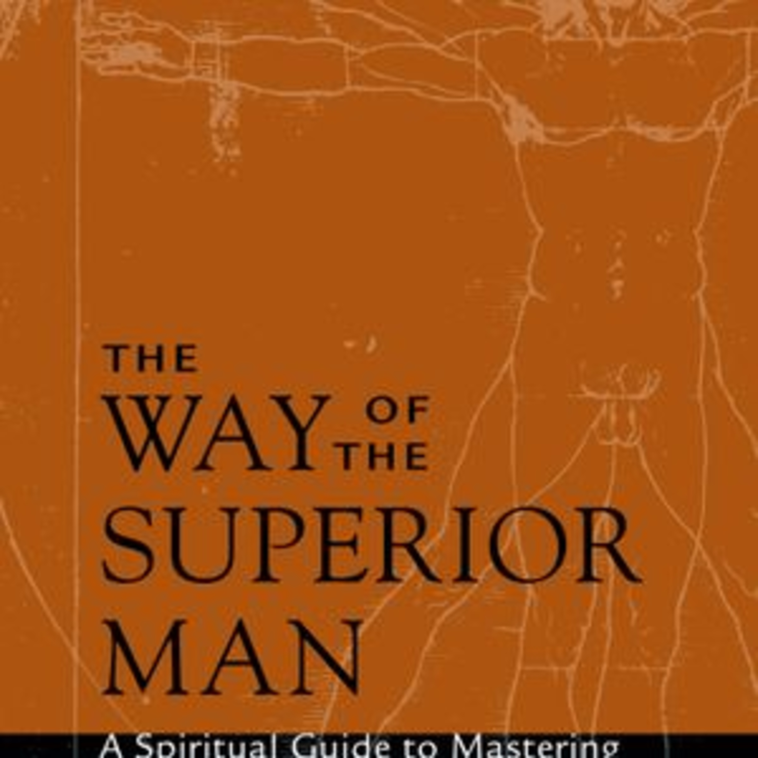 The Way of the Superior Man by David Deida