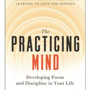 The Practicing Mind by Thomas M. Sterner