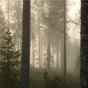 FoggyBottomBlogAL