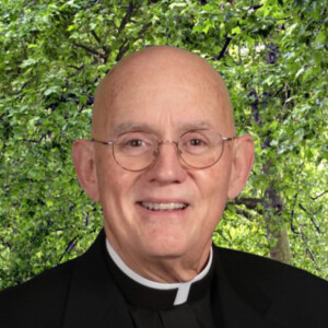 Sunday 8.21.22, Fr. Dave Harris, Working Towards a Place in Heaven