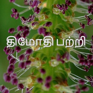 திமோதி பற்றி | Tamil Devotion | NHFCSG