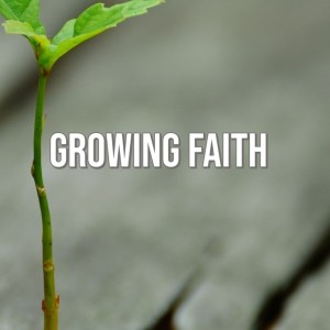 Growing Faith |  English Devotion | NHFCSG