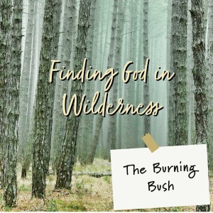 Finding God in Wilderness