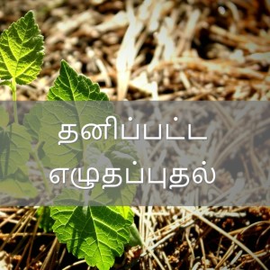 தனிப்பட்ட எழுதப்புதல்