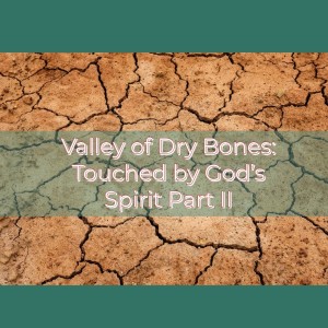 Valley of Dry Bones - Part II