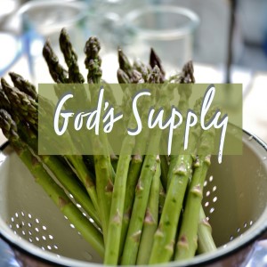 English Devotion - God‘s Supply