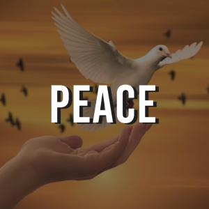 Peace | English Devotion | NHFCSG