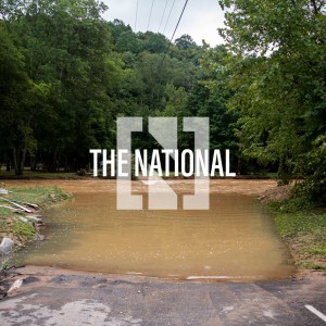 UAE Covid-19 fines, flash floods in Tennessee, evacuations from Kabul - Trending