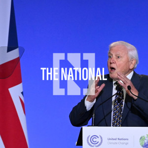 Dubai to list state-owned companies, 5 million Covid-19 deaths, Greta Thunberg - Trending