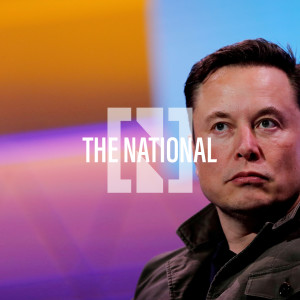 UAE to tackle ‘cyber pandemic‘, Elon Musk challenged by UN, Salt Bae in Riyadh - Trending