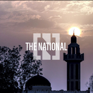 The Daily Update - November 25, 2020