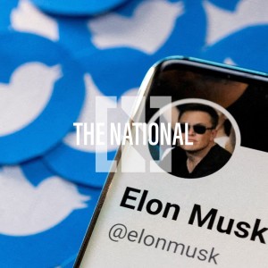 Elon Musk visits Twitter headquarters, Nasa ozone warning, Cop27 priorities - Trending