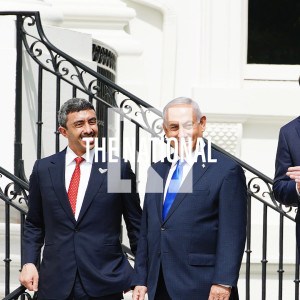 The Daily Update - September 16, 2020