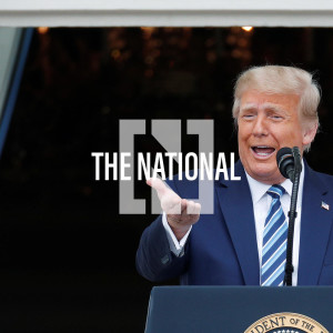 The Daily Update - November 24, 2020