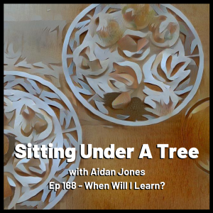 Ep 168 - When Will I Learn?