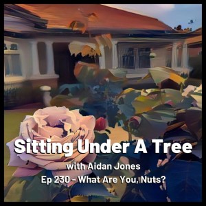 Ep 230 - What Are You, Nuts?