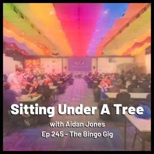 Ep 245 - The Bingo Gig