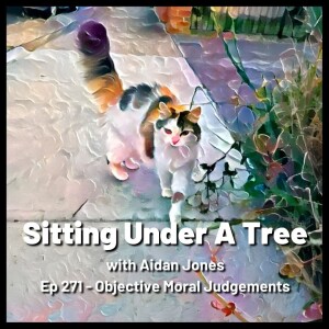 Ep 271 - Objective Moral Judgements