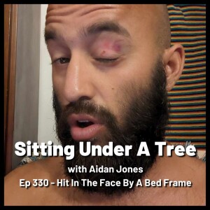Ep 330 - Hit In The Face By A Bed Frame