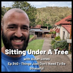 Ep 340 - Things Just Don't Need To Be Stressful