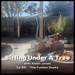 Ep 391 - This Fucken Sucks
