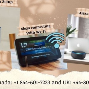 Easy Steps: How to Set Up Alexa On Echo