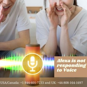 Get Solved the Problem: Alexa is Not Responding