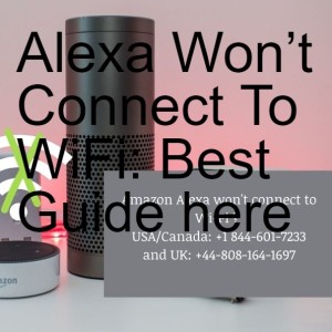 Alexa Won’t Connect To WiFi: Best Guide here