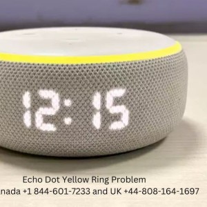 How to Solve the Alexa yellow Ring Won’t go away Problem