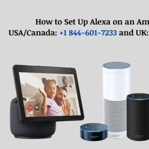 Best Guide: How to Set Up Alexa on an Amazon Echo