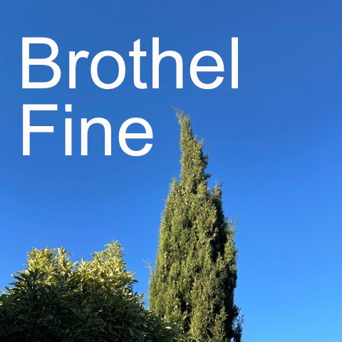 Brothel Fine