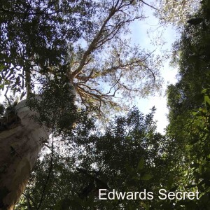 Edwards Secret
