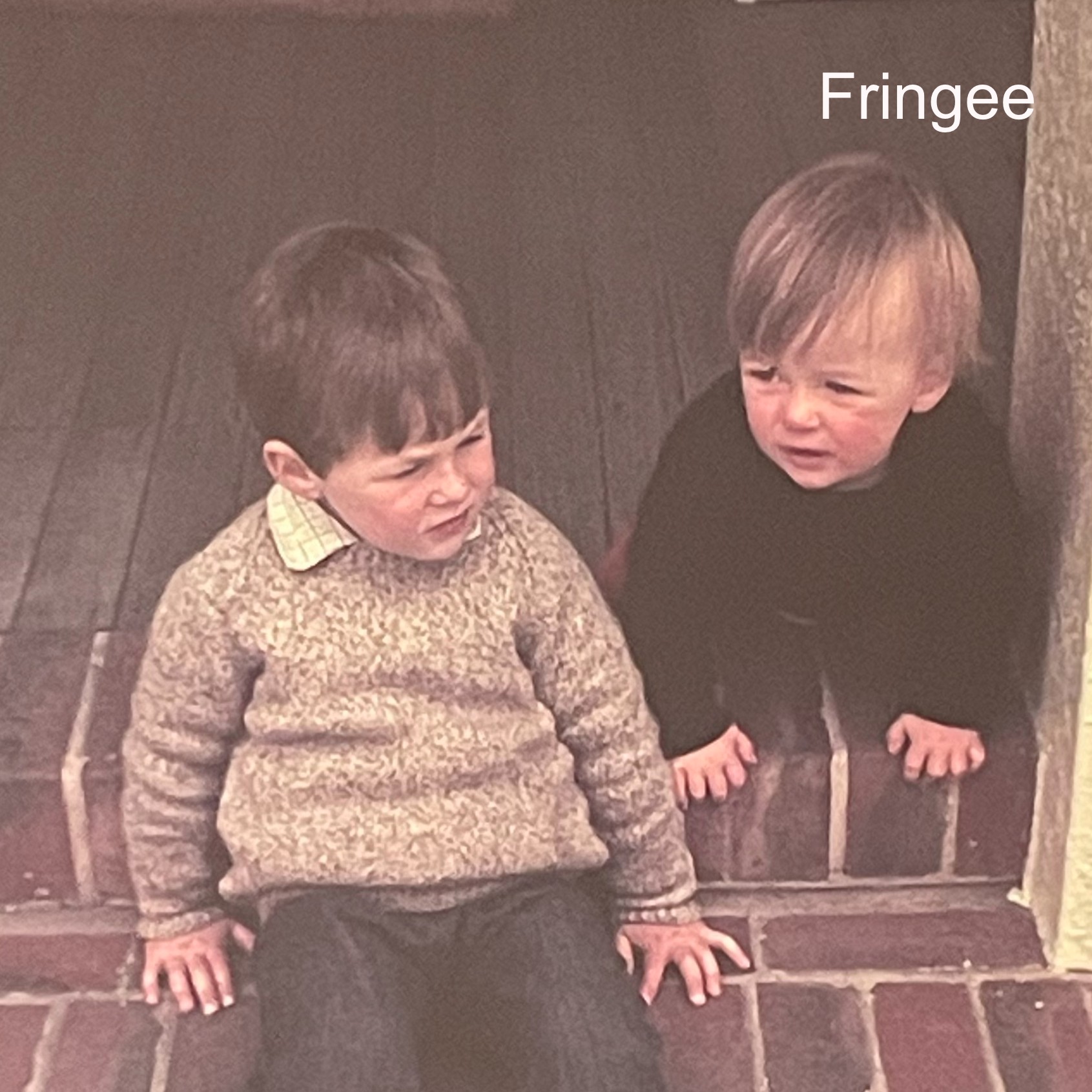 Fringee