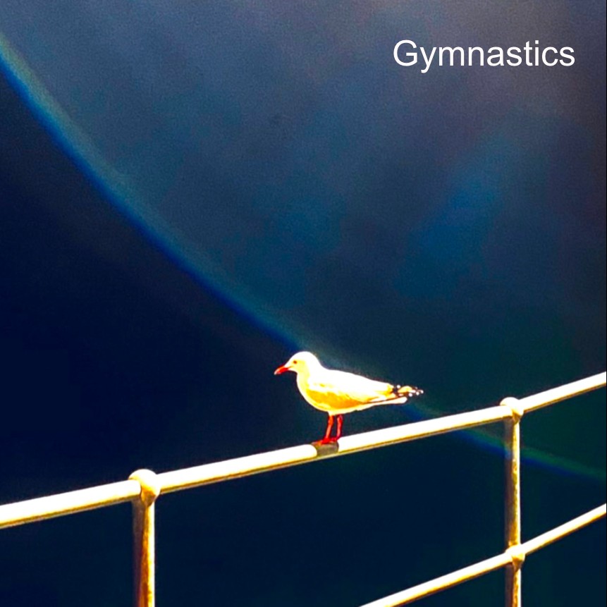 Gymnastics