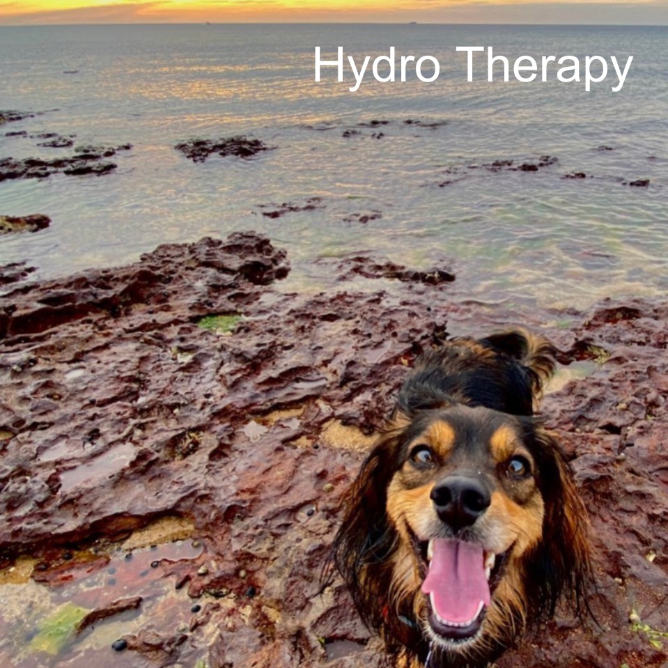 Hydro Therapy