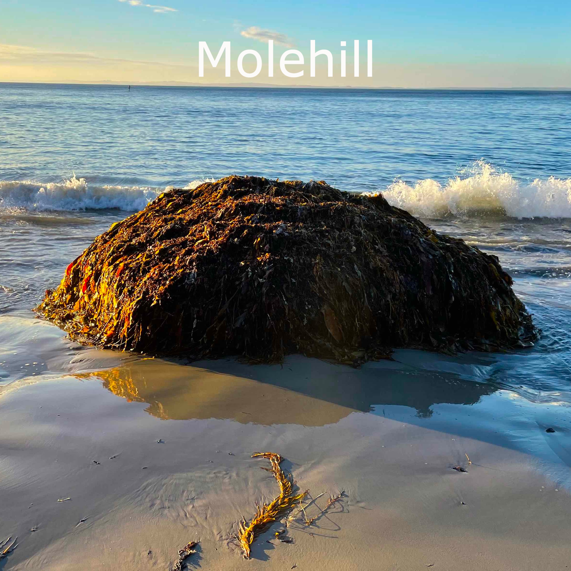 Molehill