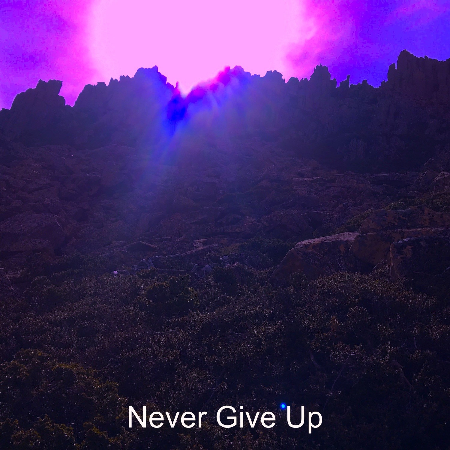 Never Give Up