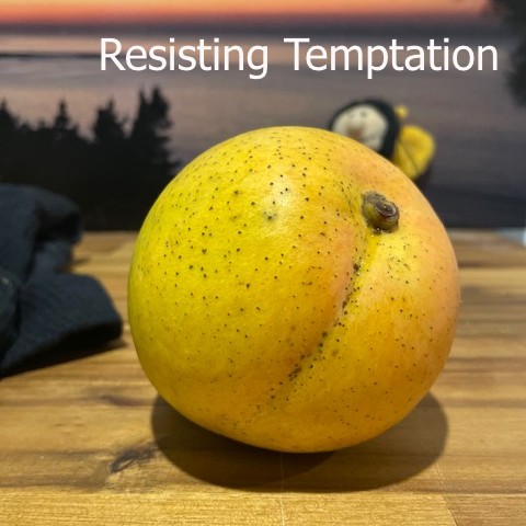 Resisting Temptation