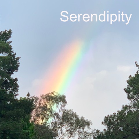 Serendipity